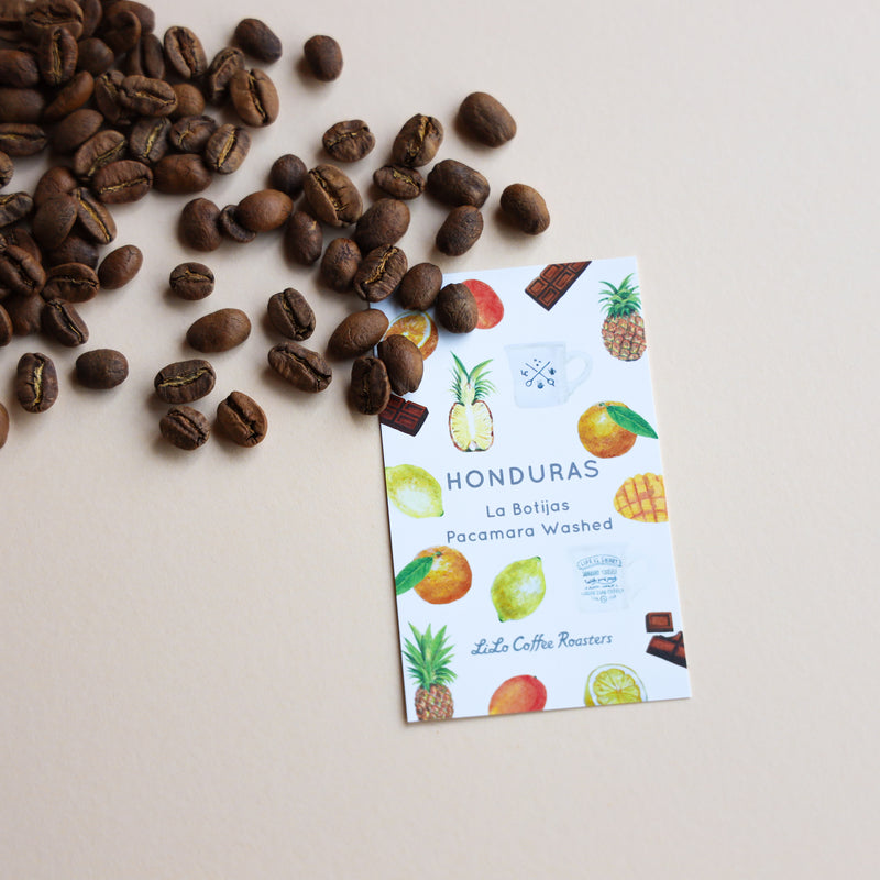 【2023/12/18】HONDURAS La Botijas Pacamara Washed