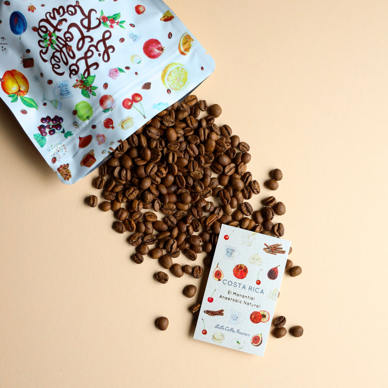 【2024/02/26】COSTA RICA El Manantial Kenia Anaerobic Natural