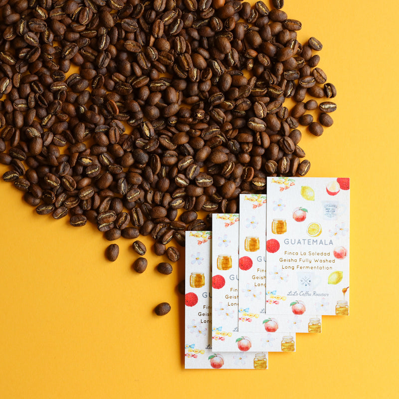 【2024/03/18】GUATEMALA Finca La Soledad Geisha Fully Washed Long Fermentation