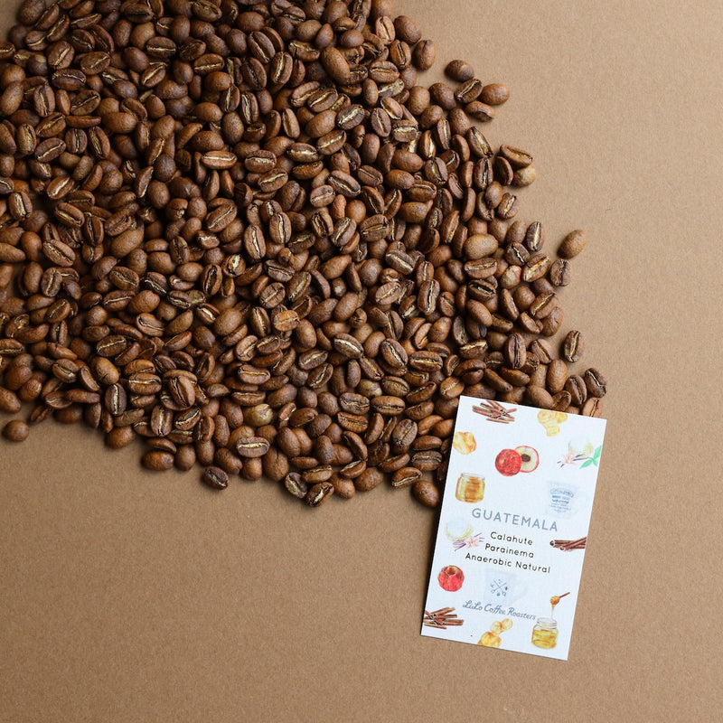 【2024/04/22】GUATEMALA Calahute Parainema Anaerobic Fermentation