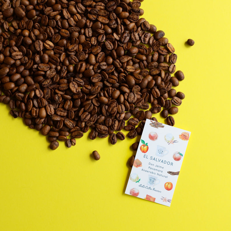 【2024/04/29】EL SALVADOR Don Jaime Pacamara Anaerobic Natural