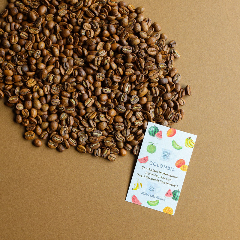 【2024/06/17】COLOMBIA San Rafael Watermelon Risaralda Pereira Yeast Fermentation Washed