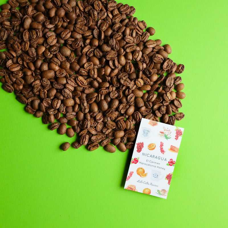 【2024/07/15】NICARAGUA El Carmen Maracaturra Honey