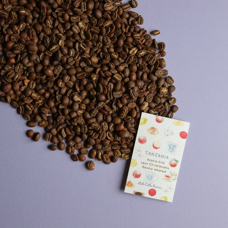【2024/07/01】TANZANIA Acacia Hills Leon Christianakis Geisha Washed