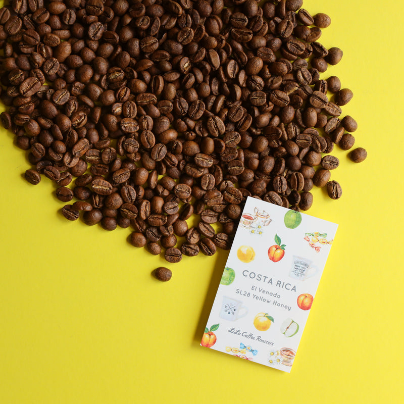 【2024/07/22】COSTA RICA El Venado SL28 Yellow Honey
