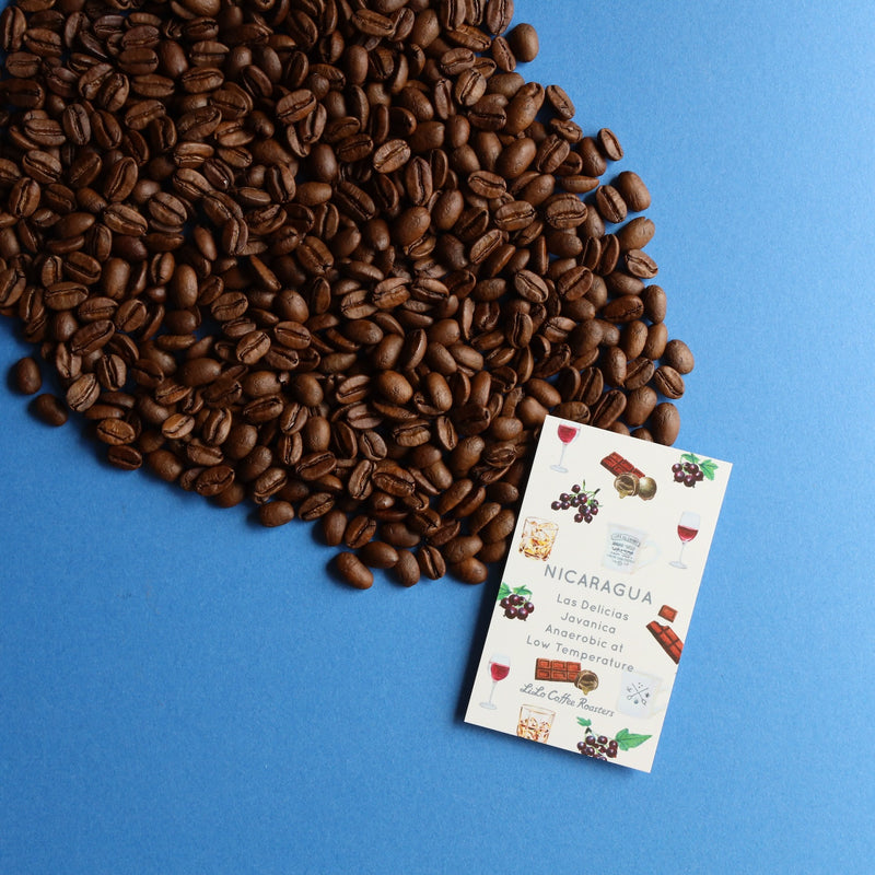 【2024/07/29】NICARAGUA Las Delicias Javanica Anaerobic at Low Temperature