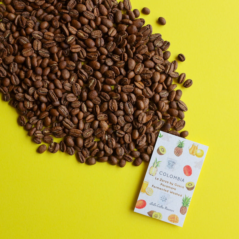 【2024/08/26】COLOMBIA La Zarza by Gasca Pacamara Fermented Washed