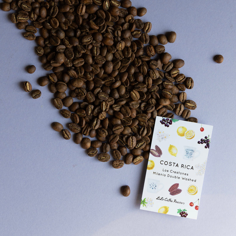 【2025/04/08】COSTA RICA Los Crestones Milenio Double Washed