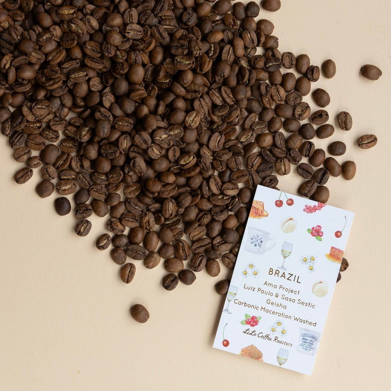 【2025/05/23】BRAZIL Ama Project Luiz Paulo & Sasa Sestic Geisha Carbonic Maceration Washed