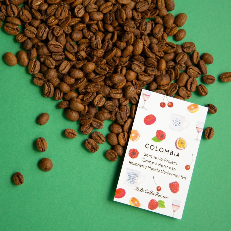 【2026/05/18】COLOMBIA Santuario Project Campo Hermoso Raspberry Mossto Co-Fermented