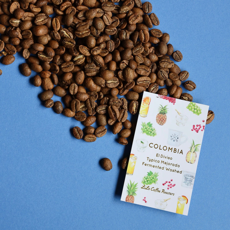 【2026/06/08】COLOMBIA El Diviso Typica Mejorado Fermented Washed