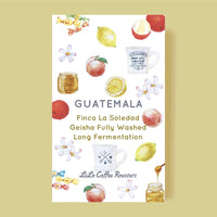 （終売済み）GUATEMALA Finca La Soledad Geisha Fully Washed Long Fermentation