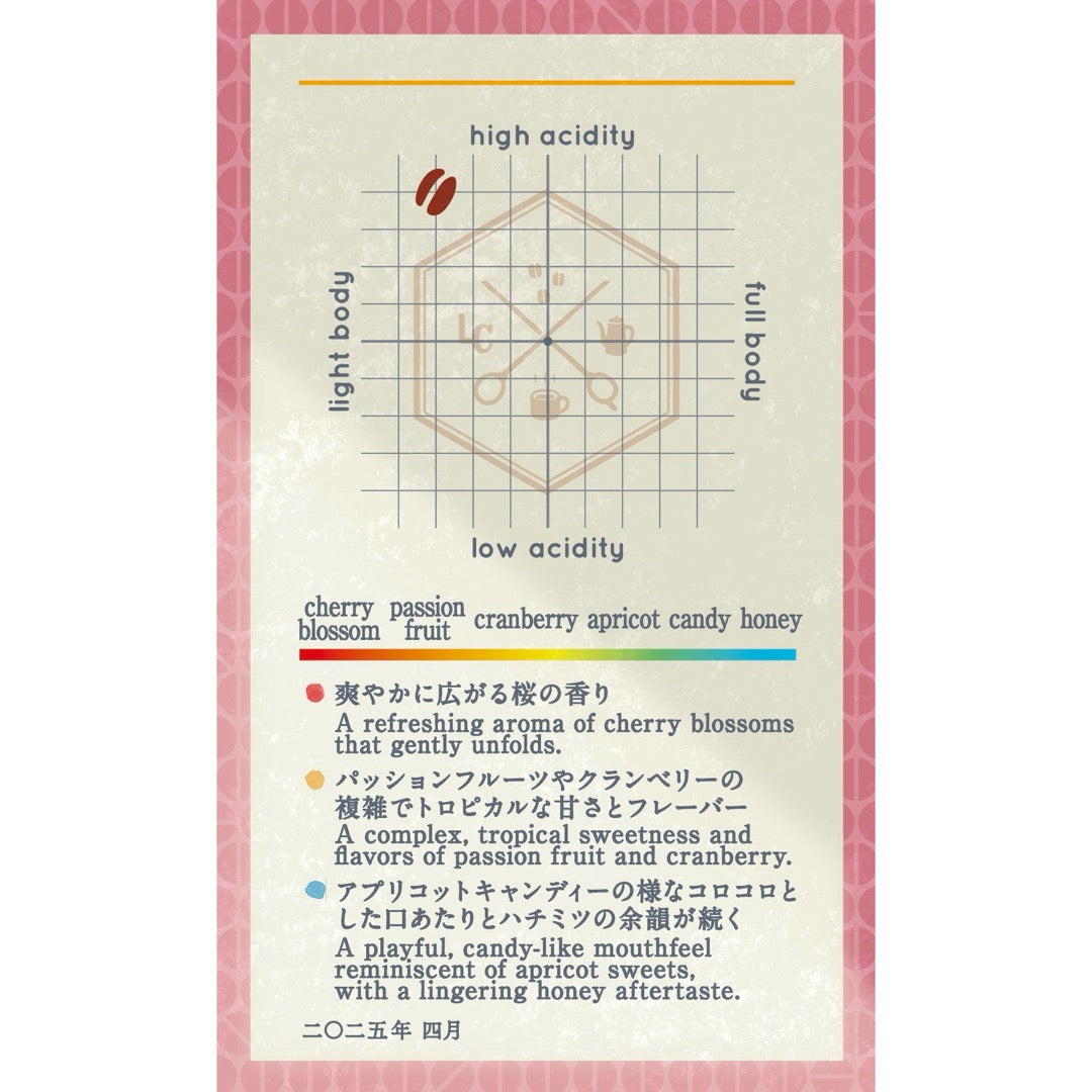 【Seasonal Blend 2025.4】Obu-Tenrai Blend ~桜舞天籟~