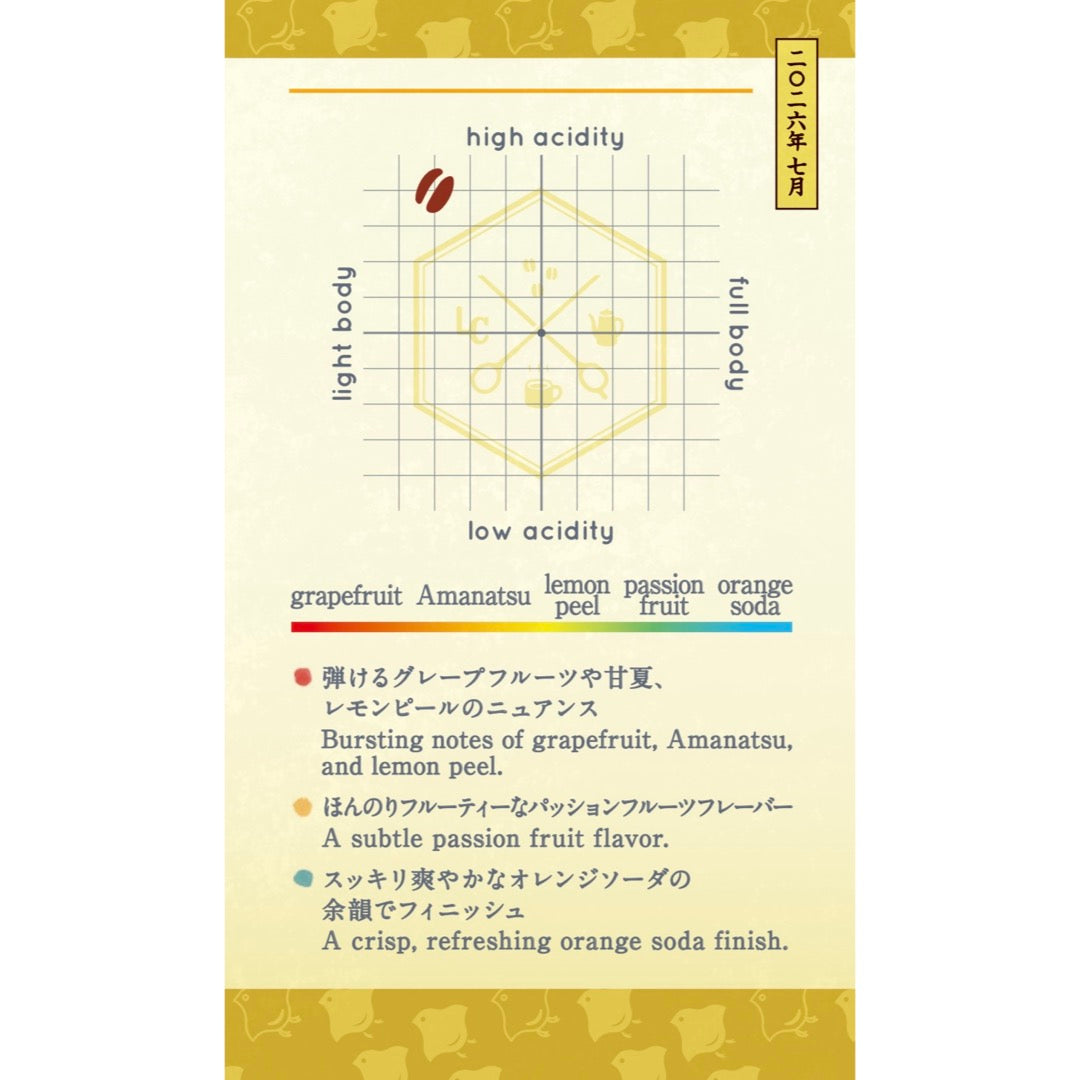 【Subscription】Seasonal Blend 2026 Course (200g)