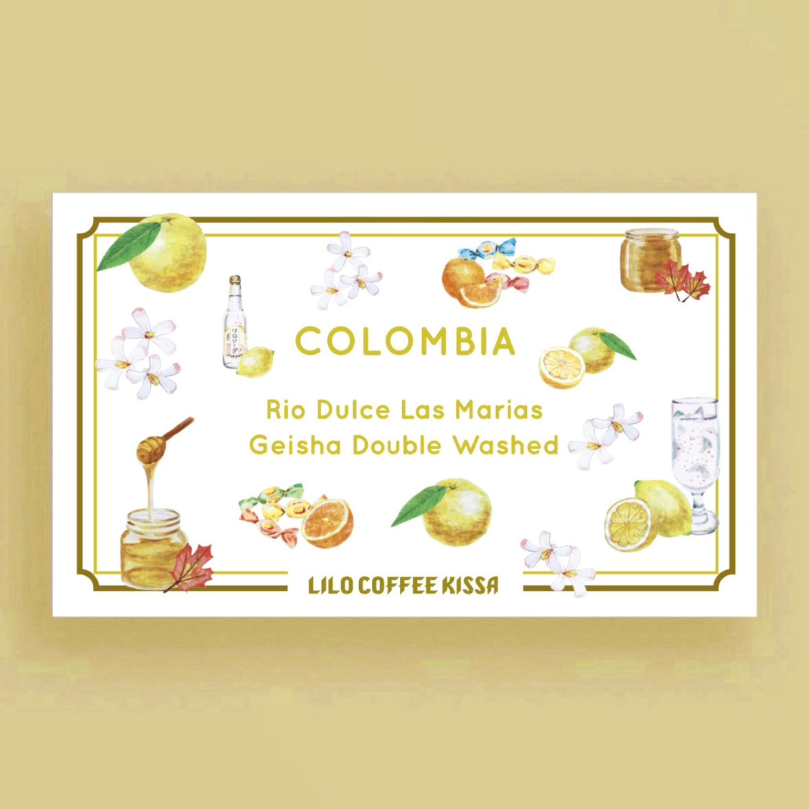 【喫茶】COLOMBIA Rio Dulce Geisha Double Washed