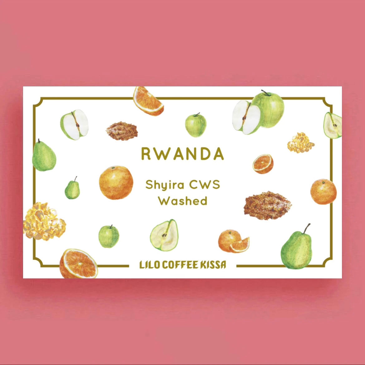 【Kissa】RWANDA Shyira CWS Washed